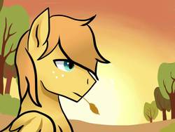 Size: 1024x768 | Tagged: safe, artist:xeritra, oc, oc only, oc:golden breeze, pegasus, pony, bust, freckles, male, offspring, parent:big macintosh, parent:fluttershy, parents:fluttermac, profile, solo, stallion, straw in mouth, sunset