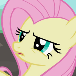 Size: 400x400 | Tagged: safe, screencap, fluttershy, pegasus, pony, g4, may the best pet win, cropped, female, mare, solo
