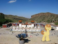 Size: 1024x768 | Tagged: safe, artist:zalere, feather bangs, pony, g4, china, inner mongolia, irl, photo, ponies in real life