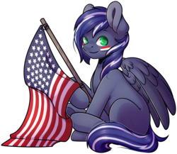 Size: 1853x1612 | Tagged: safe, artist:ak4neh, oc, oc only, oc:lightning flare, pegasus, pony, commission, female, flag, full body, looking at you, mare, sitting, solo, wings