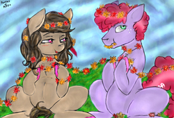Size: 1130x767 | Tagged: safe, artist:colorlesscupcake, oc, oc only, oc:daydream, oc:fuzz, pony, duo, female, flower, grass, horses doing horse things, male, sitting, straight