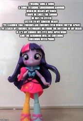 Size: 500x733 | Tagged: safe, artist:dex stewart, twilight sparkle, human, equestria girls, g4, digimon, doll, equestria girls minis, female, mimi, mimi's song, photo, solo, song, song reference, toy