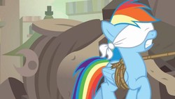 Size: 1920x1080 | Tagged: safe, screencap, rainbow dash, pegasus, pony, daring done?, g4, blindfold, bondage, female, folded wings, forced, gritted teeth, kidnapped, mare, predicament, rainbond dash, raised hoof, rope, solo, somnambula (location), tied up, unsexy bondage, walking, wings