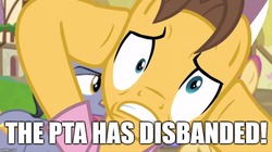 Size: 888x499 | Tagged: safe, edit, edited screencap, screencap, caramel, diamond cutter, dizzy twister, orange swirl, rainbowshine, earth pony, pony, fame and misfortune, g4, caption, dramamel, image macro, male, meme, stallion, text, the pta disbands, the simpsons