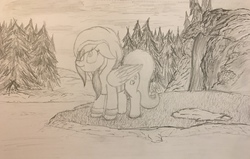 Size: 3933x2505 | Tagged: safe, fluttershy, pony, g4, cute, female, forest, high res, nature, pine tree, sketch, solo, traditional art, tree, waterfall