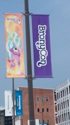 Size: 1836x3264 | Tagged: safe, photographer:lesliepone, pony, bronycon, bronycon 2019, banner, bronycon mascots, united states