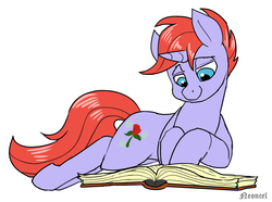 Size: 3858x2875 | Tagged: safe, artist:neoncel, oc, oc only, pony, unicorn, book, high res, solo