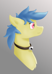 Size: 1754x2480 | Tagged: safe, artist:dumbprincess, earth pony, pony, bust, collar, simple background, smiling, solo