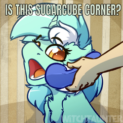 Size: 637x639 | Tagged: safe, artist:witchtaunter, edit, editor:undeadponysoldier, lyra heartstrings, human, pony, unicorn, series:spikebob scalepants, g4, big pink loser, caption, chest fluff, cute, female, image macro, implied sugarcube corner, mare, meme, open mouth, phone, ponified animal photo, reference, spongebob squarepants, text, yes this is dog