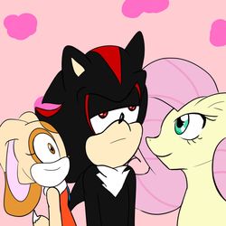 Size: 1024x1024 | Tagged: safe, artist:soul-yagami64, fluttershy, g4, cream the rabbit, crossover, male, shadow the hedgehog, sonic the hedgehog, sonic the hedgehog (series)