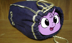 Size: 1000x600 | Tagged: safe, twilight sparkle, pony, unicorn, g4, female, irl, mare, photo, ponies in real life, solo