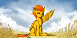 Size: 4000x2000 | Tagged: safe, artist:xaski21, spitfire, pony, g4, cloud, female, field, one wing out, signature, sitting, sky, solo, wings