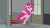 Size: 1920x1080 | Tagged: safe, screencap, pinkie pie, earth pony, pony, g4, my little pony: friendship is magic, the last laugh, cute, diapinkes, female, mare, solo, standing, standing on one leg