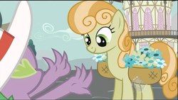 Size: 1280x720 | Tagged: safe, screencap, junebug, spike, earth pony, pony, g4, secret of my excess, all new, cute, female, flower, flower basket, hat, hub logo, looking at something, mare, text