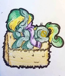 Size: 450x531 | Tagged: dead source, safe, oc, oc only, oc:vermont black, earth pony, pony, clothes, hay, hay bale, male, phi, scarf, sleeping, smiling, solo, stallion