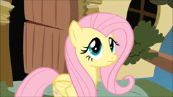 Size: 1280x720 | Tagged: safe, screencap, fluttershy, iron will, nostalgia goat, pinkie pie, rarity, earth pony, goat, minotaur, pegasus, pony, unicorn, g4, putting your hoof down, angry, animated, faint, female, male, mare, no, shocked, sound, webm