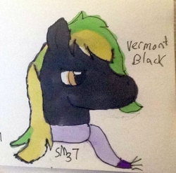 Size: 673x665 | Tagged: safe, artist:shatteredmind37, oc, oc only, oc:vermont black, earth pony, pony, clothes, male, photo, scarf, solo, stallion, traditional art