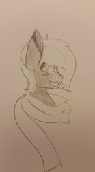 Size: 450x810 | Tagged: safe, artist:spoopysherbertcake, oc, oc only, oc:vermont black, earth pony, pony, clothes, grin, looking at you, male, monochrome, scarf, smiling, solo, stallion, traditional art