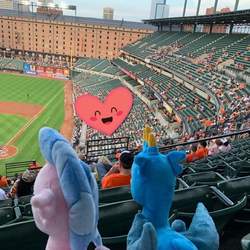 Size: 720x720 | Tagged: safe, photographer:justinleow, gallus, silverstream, human, g4, baltimore, baltimore orioles, baseball, female, irl, irl human, male, oriole park at camden yards, photo, plushie, ship:gallstream, shipping, sports, stadium, straight, united states