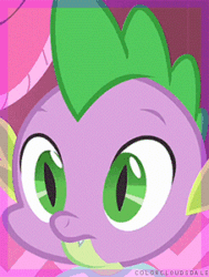 Size: 227x300 | Tagged: safe, edit, edited screencap, screencap, rarity, spike, dragon, g4, green isn't your color, animated, clothes, cropped, gif, implied shipping, implied straight, male, shirt, solo, subtle as a train wreck, t-shirt