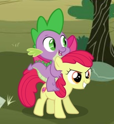 Size: 1000x1091 | Tagged: safe, apple bloom, spike, dragon, pony, g4, dragons riding ponies, duo, female, male, riding, ship:spikebloom, shipping, spike riding apple bloom, straight