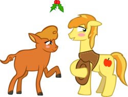 Size: 4867x3686 | Tagged: safe, artist:spokenmind93, braeburn, little strongheart, bison, buffalo, earth pony, pony, g4, blushing, christmas, clothes, female, holiday, holly, holly mistaken for mistletoe, male, old art, ship:braeheart, shipping, stallion, straight
