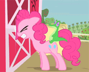 Size: 183x150 | Tagged: safe, screencap, gummy, pinkie pie, alligator, earth pony, pony, g4, party of one, animated, barn, cropped, eyes closed, gators riding ponies, gif, gif for breezies, gummy riding pinkie pie, headbang, picture for breezies, riding