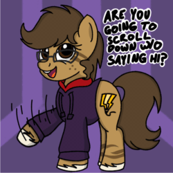 Size: 1000x1000 | Tagged: safe, artist:toyminator900, oc, oc only, oc:binky, hybrid, pony, zony, g4, animated, clothes, cute, female, frame by frame, freckles, gif, glasses, happy, hoodie, mare, meganekko, motion lines, open mouth, purple background, question, simple background, smiling, solo, squigglevision, talking to viewer, unshorn fetlocks, waving