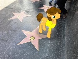 Size: 4032x3024 | Tagged: safe, gameloft, cheese sandwich, pony, g4, augmented reality, coincidence, hollywood, irl, photo, ponies in real life, solo, walk of fame, weird al yankovic