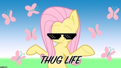 Size: 888x499 | Tagged: safe, artist:varcon, edit, fluttershy, butterfly, pegasus, pony, g4, female, mare, meme, mlg, solo, sunglasses, swag, swag glasses, thug life