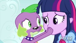Size: 1280x720 | Tagged: safe, screencap, spike, twilight sparkle, dog, equestria girls, g4, my little pony equestria girls, clothes, collar, duo, female, looking at each other, male, paws on face, spike the dog, spiked collar
