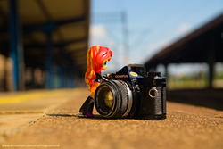 Size: 6016x4012 | Tagged: safe, artist:artofmagicpoland, sunset shimmer, equestria girls, g4, 35mm camera, cute, doll, equestria girls minis, eqventures of the minis, female, irl, olympus, photo, pushing, solo, toy