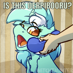 Size: 638x637 | Tagged: safe, artist:witchtaunter, edit, editor:undeadponysoldier, lyra heartstrings, human, pony, unicorn, derpibooru, g4, chest fluff, cute, female, lyrabetes, mare, meta, open mouth, phine, ponified animal photo, text, watermark, yes this is dog