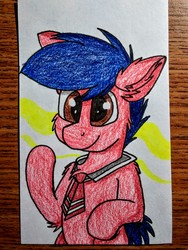 Size: 1920x2560 | Tagged: safe, artist:thebadbadger, oc, oc only, oc:phire demon, pony, solo, style emulation, traditional art