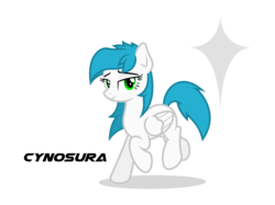 Size: 3543x2657 | Tagged: safe, artist:zylgchs, oc, oc only, oc:cynosura, pony, high res, simple background, solo, text, transparent background, vector