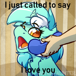 Size: 1000x1000 | Tagged: safe, artist:witchtaunter, edit, editor:didgereethebrony, lyra heartstrings, pony, unicorn, g4, behaving like a dog, caption, female, i just called to say i love you, image macro, meme, ponified animal photo, solo, song reference, stevie wonder, text, yes this is dog
