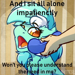 Size: 1000x1000 | Tagged: safe, artist:witchtaunter, edit, editor:didgereethebrony, lyra heartstrings, pony, unicorn, g4, abba, behaving like a dog, female, meme, ponified animal photo, ring ring, solo, song reference, yes this is dog