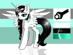 Size: 1920x1440 | Tagged: safe, artist:kxttponies, oc, oc only, alicorn, pony, alicorn oc, female, mare, reference sheet, solo