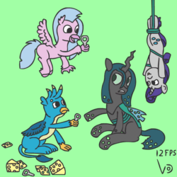 Size: 800x800 | Tagged: safe, artist:vohd, gallus, queen chrysalis, rarity, silverstream, changeling, changeling queen, classical hippogriff, griffon, hippogriff, pony, unicorn, g4, angry, animated, cheese, female, flying, food, frame by frame, queen swissalis, simple background, sitting, teasing, tied up, tools