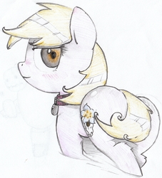 Size: 2320x2560 | Tagged: safe, artist:foxtrot3, oc, oc only, oc:sandy, earth pony, pony, blushing, collar, dog collar, female, high res, looking at you, looking back, looking back at you, mare, paleontologist, pet tag, skull, solo