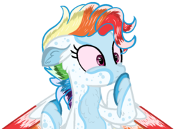 Size: 924x687 | Tagged: safe, artist:tiberioustat2s, rainbow dash, pony, g4, alternate design, base used, female, hoof fluff, mare, simple background, solo, transparent background