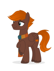 Size: 700x915 | Tagged: safe, artist:pgthehomicidalmaniac, oc, oc only, oc:scarecrow fields, pegasus, pony, base used, clothes, male, scarf, simple background, solo, stallion, transparent background