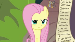 Size: 1920x1080 | Tagged: safe, screencap, fluttershy, pony, g4, she talks to angel, checklist, female, frown, mare, solo