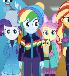 Size: 524x583 | Tagged: safe, screencap, chad (g4), fluttershy, rainbow dash, rarity, sunset shimmer, bird, owl, equestria girls, equestria girls specials, g4, my little pony equestria girls: better together, my little pony equestria girls: holidays unwrapped, winter break-in, bunny ears, cropped, female, hat, plusplus, rarity's winter hat, self-storage facility, ushanka, winter outfit