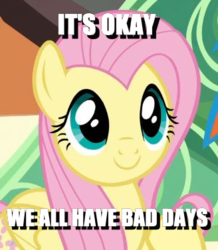 Size: 328x377 | Tagged: safe, edit, edited screencap, screencap, fluttershy, rainbow dash, pegasus, pony, g4, trade ya!, caption, cropped, cute, female, folded wings, image macro, looking at you, mare, offscreen character, positive ponies, shyabetes, smiling, solo focus, text, train, wings