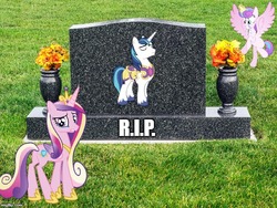 Size: 664x500 | Tagged: safe, artist:madarao123, princess cadance, princess flurry heart, shining armor, pony, g4, gravestone, immortality blues, implied death, older, older flurry heart, op is a duck, rest in peace, widow