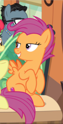 Size: 401x781 | Tagged: safe, screencap, apple bloom, down under, scootaloo, earth pony, pegasus, pony, g4, growing up is hard to do, cropped, cutie mark, female, lidded eyes, looking at each other, mare, offscreen character, older, older scootaloo, sitting, smiling, smirk, solo focus, spread wings, the cmc's cutie marks, wings