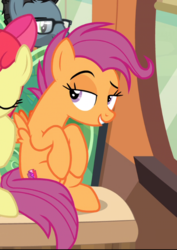 Size: 512x724 | Tagged: safe, screencap, apple bloom, scootaloo, earth pony, pegasus, pony, g4, growing up is hard to do, cropped, cutie mark, female, lidded eyes, mare, offscreen character, older, older apple bloom, older scootaloo, raised eyebrow, sitting, smiling, smirk, solo focus, the cmc's cutie marks