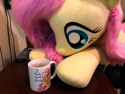 Size: 4032x3024 | Tagged: safe, artist:bugplayer, artist:natureshy, artist:qtpony, fluttershy, pegasus, pony, g4, chocolate, cup, cute, drink, faux fur, female, food, hot chocolate, irl, life size, mare, mug, photo, plushie, shyabetes, solo, weapons-grade cute