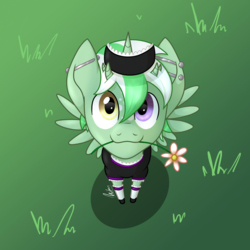 Size: 2000x2000 | Tagged: safe, artist:nivimonster, oc, oc:jester pi, pegasus, pony, clothes, crossdressing, flower, grass, high res, maid, piercing, shadow, smiling